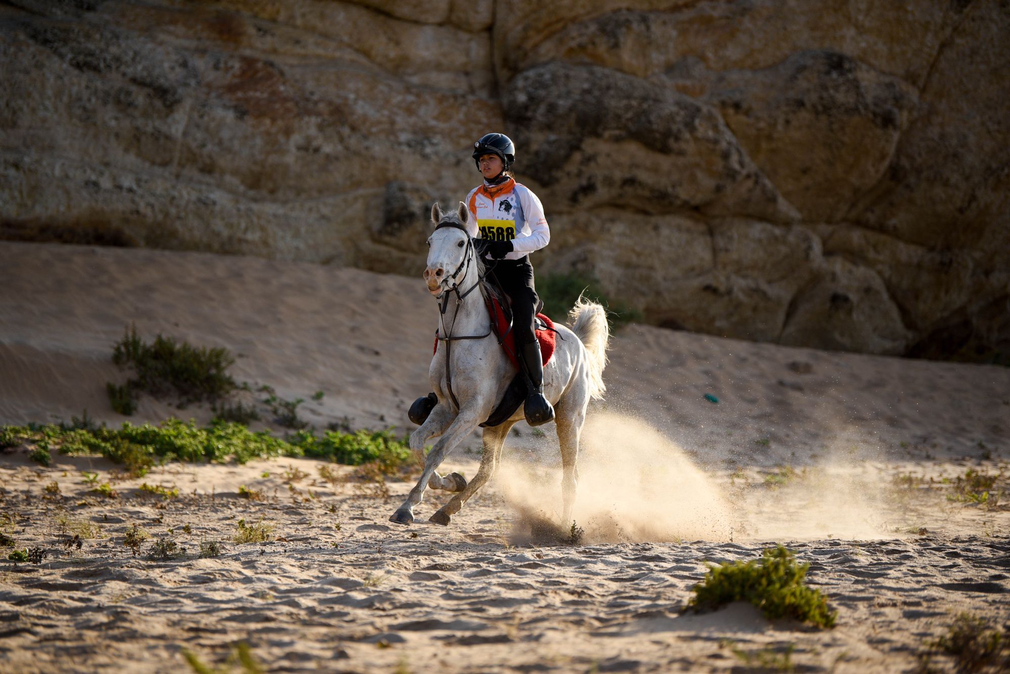 Highlights (60 of 231)_resized.jpg